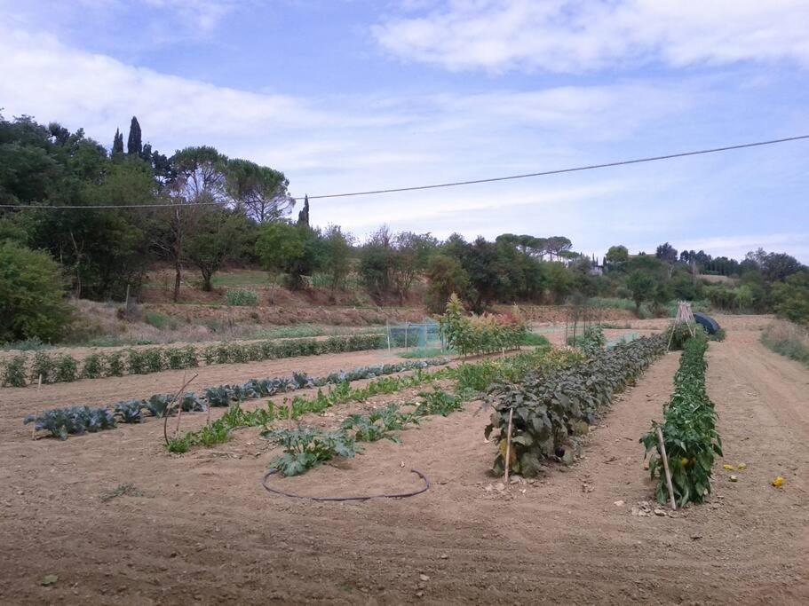 Podere Gian Battaglia Fucecchio Exterior photo
